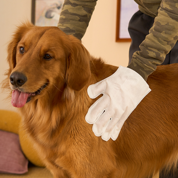 Pet Wet Wipes - With Natural Ingredients