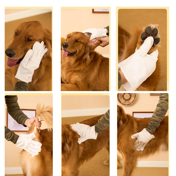 Pet Wet Wipes - With Natural Ingredients