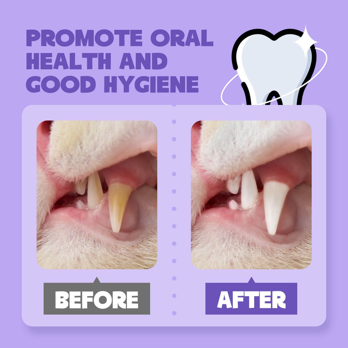 Oral Cleaning Spray – Anti-Tartar and Bad Breath – For Dogs and Cats