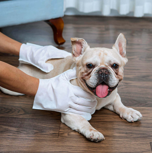 Pet Wet Wipes - With Natural Ingredients