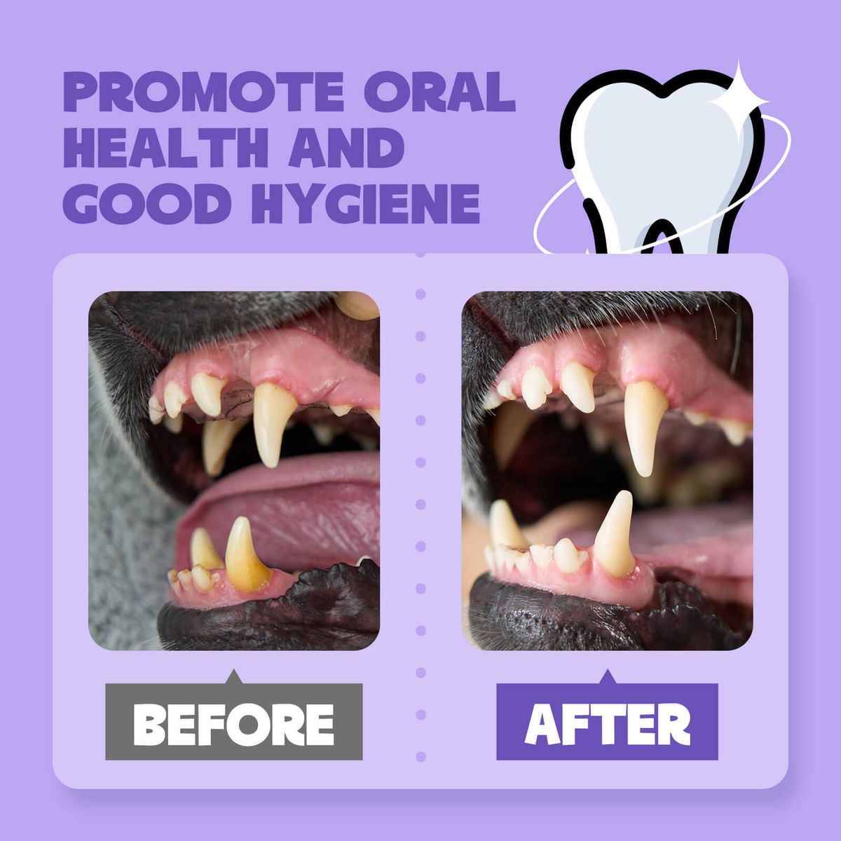 Oral Cleaning Spray – Anti-Tartar and Bad Breath – For Dogs and Cats