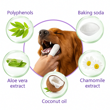 Dental Wet Wipes – For Pets That Hate Toothbrushes