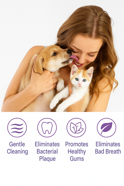 Dental Wet Wipes – For Pets That Hate Toothbrushes