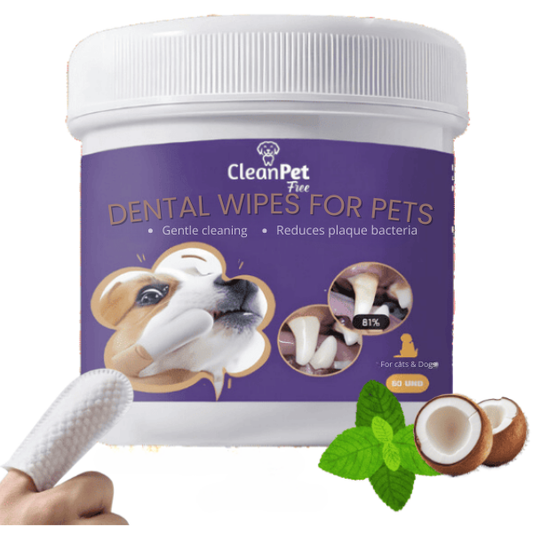 Dental Wet Wipes – For Pets That Hate Toothbrushes