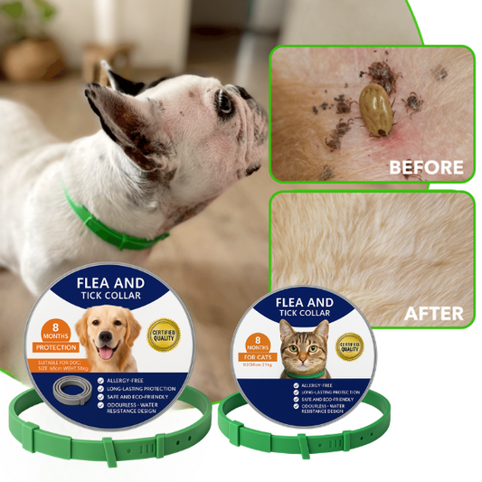 CleanPet™ Anti-Parasite Collar – 24/7 Defence from Fleas, Ticks & Mozzies