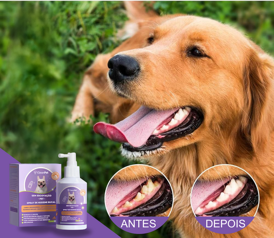 Spray de limpeza bucal - anti tártaro e mau hálito - [Cães e Gatos]