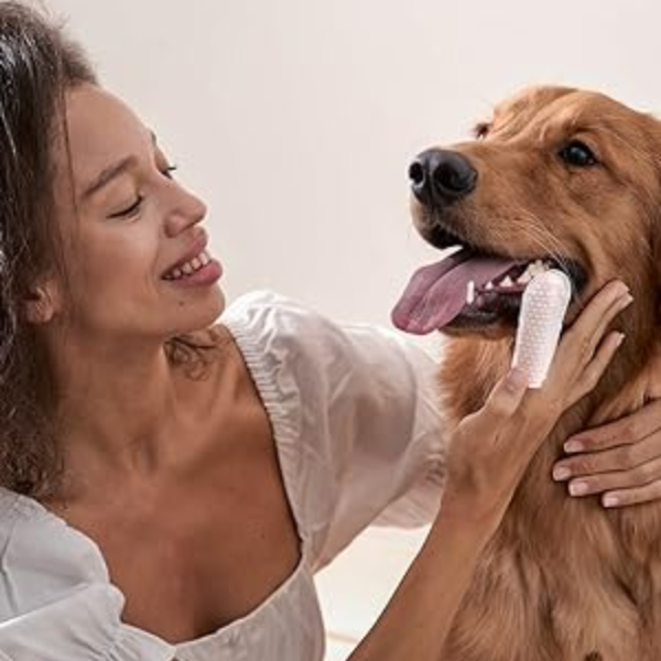 Toalhitas de limpeza dentária para animais - Desenvolvidas para pets que detestam escovas