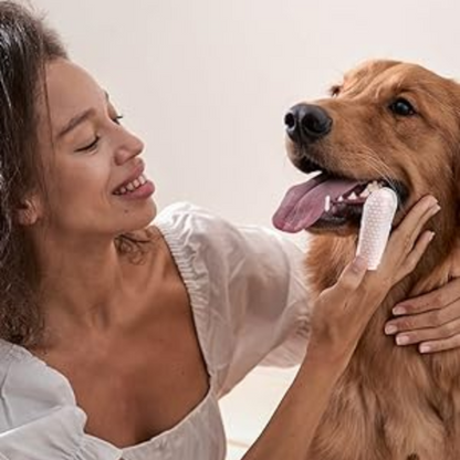 Dental Wet Wipes – For Pets That Hate Toothbrushes
