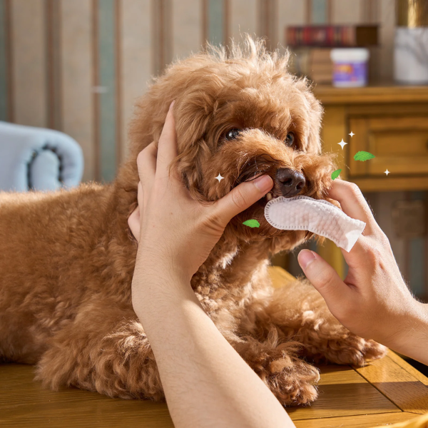 Toalhitas de limpeza dentária para animais - Desenvolvidas para pets que detestam escovas