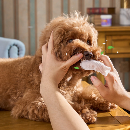Dental Wet Wipes – For Pets That Hate Toothbrushes